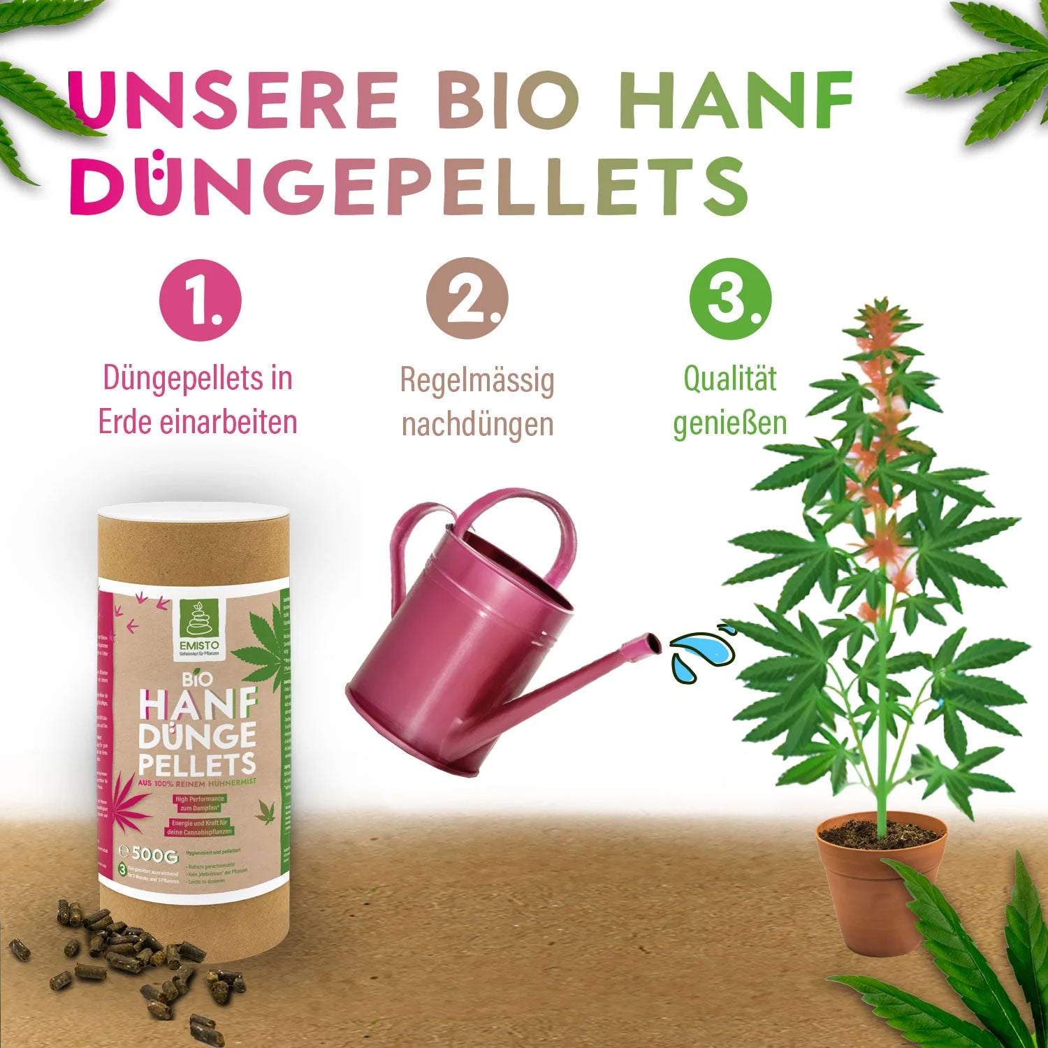 EMISTO BIO Hanf Dünger Pellets im Behälter, Gießkanne und Hanfpflanze mit Anwendungsschritten.
