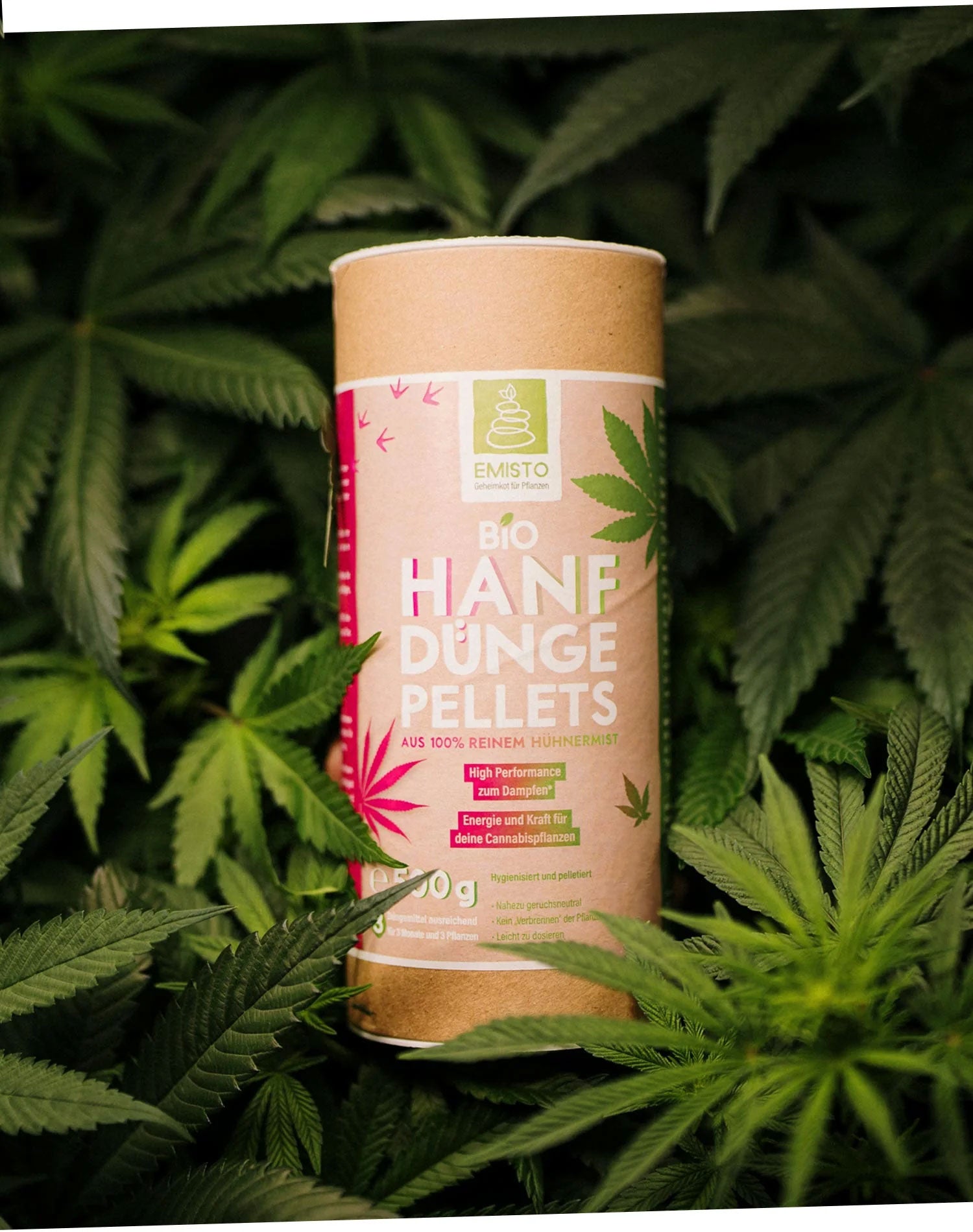 Bio Hanfdünger Pellets aus reinem Hühnermist für optimale Cannabispflanzen, im grünen Blattwerk.