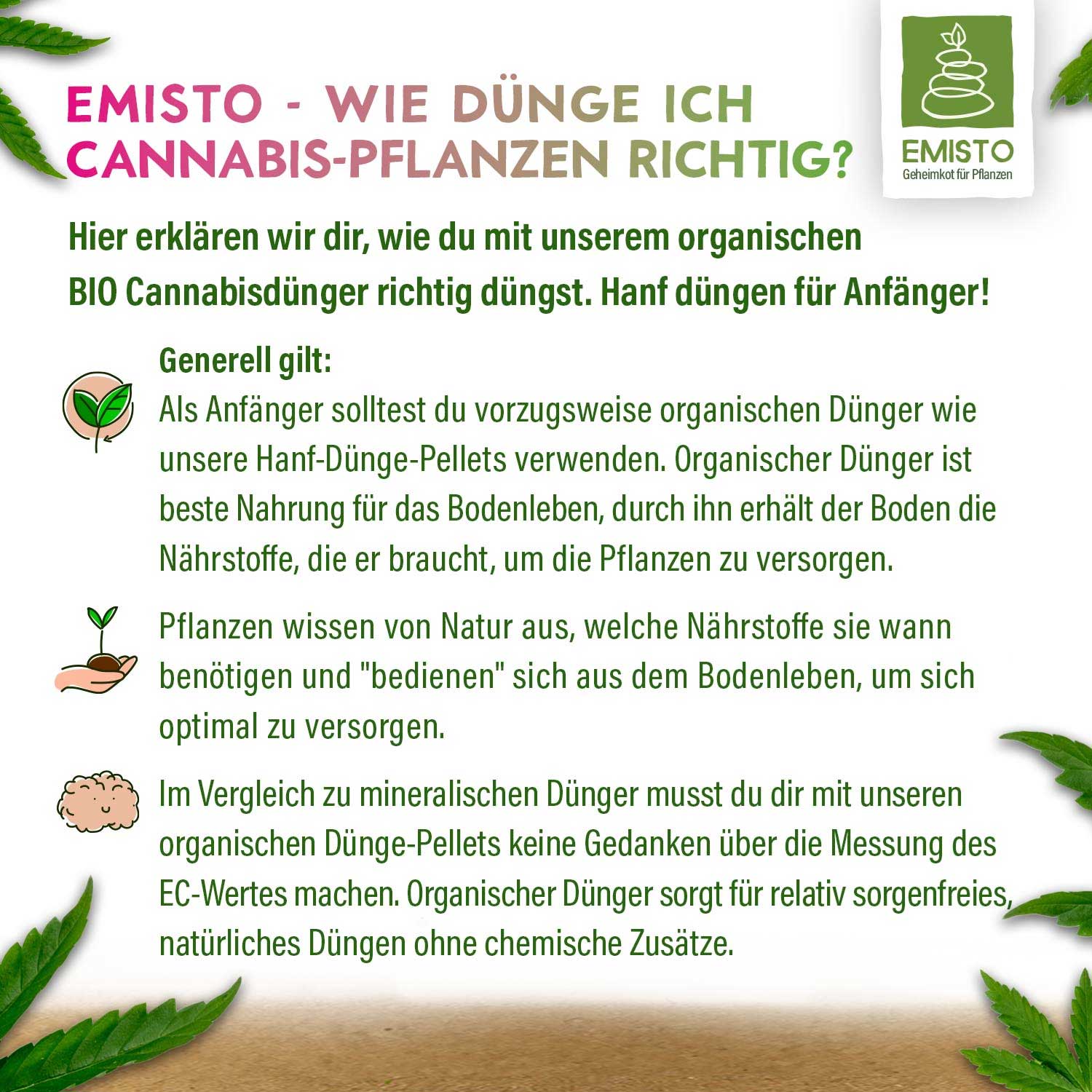 Leitfaden zum richtigen Düngen von Cannabispflanzen mit organischem Bio-Hanfdünger für Anfänger.