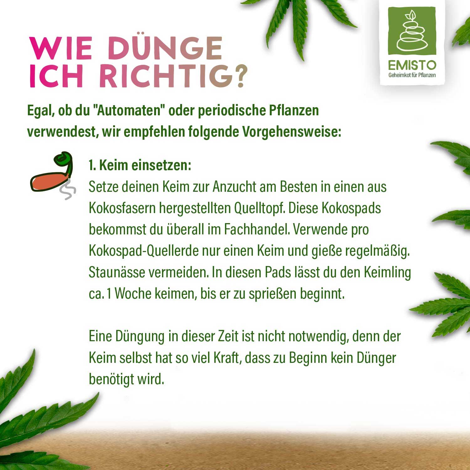 Anleitung zur richtigen Anzucht von Pflanzenkeimen in Kokospads mit Tipps zur Vermeidung von Staunässe.