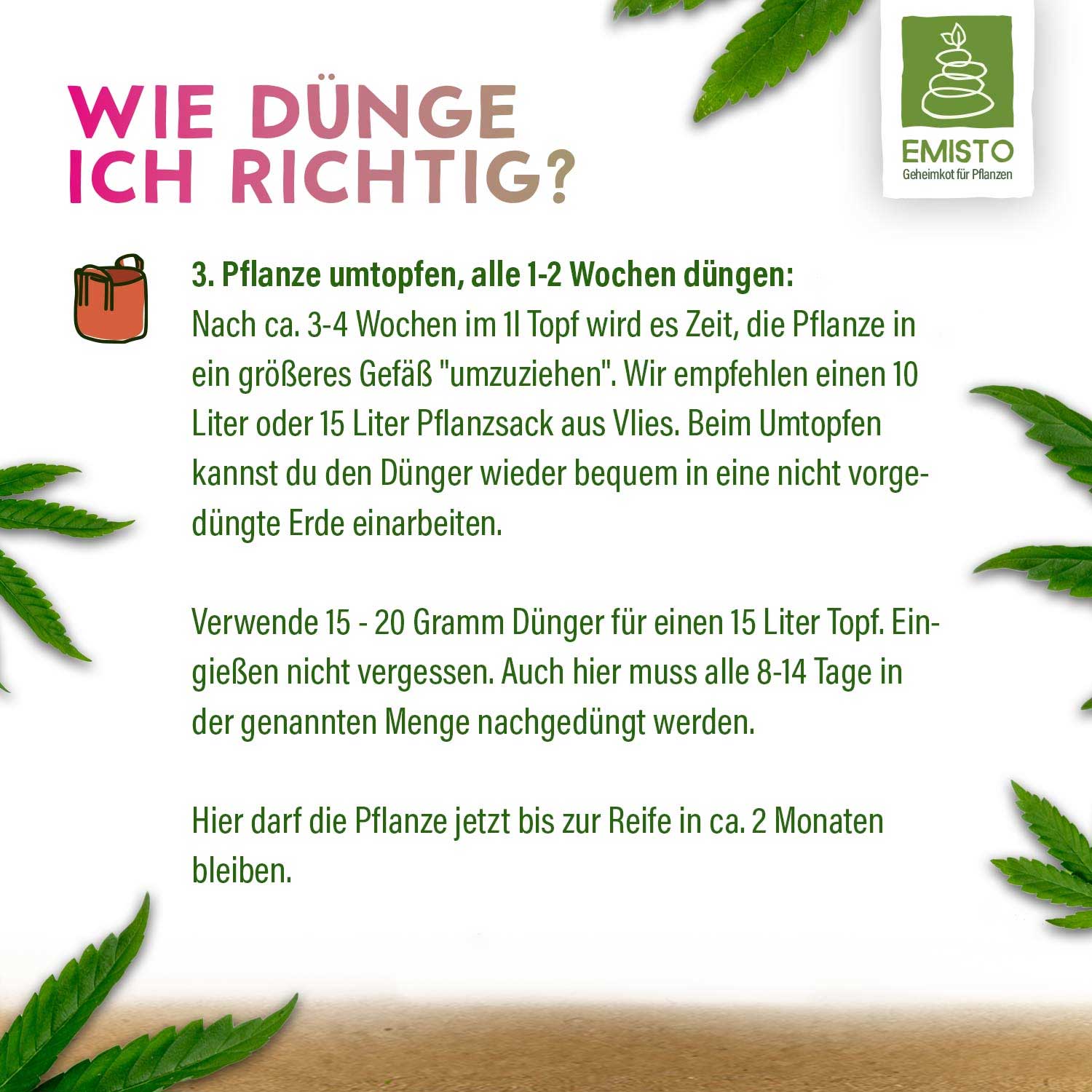 Anleitung zum richtigen Düngen von Pflanzen: Umtopfen nach 3-4 Wochen, 15-20g Dünger pro 15L Topf.