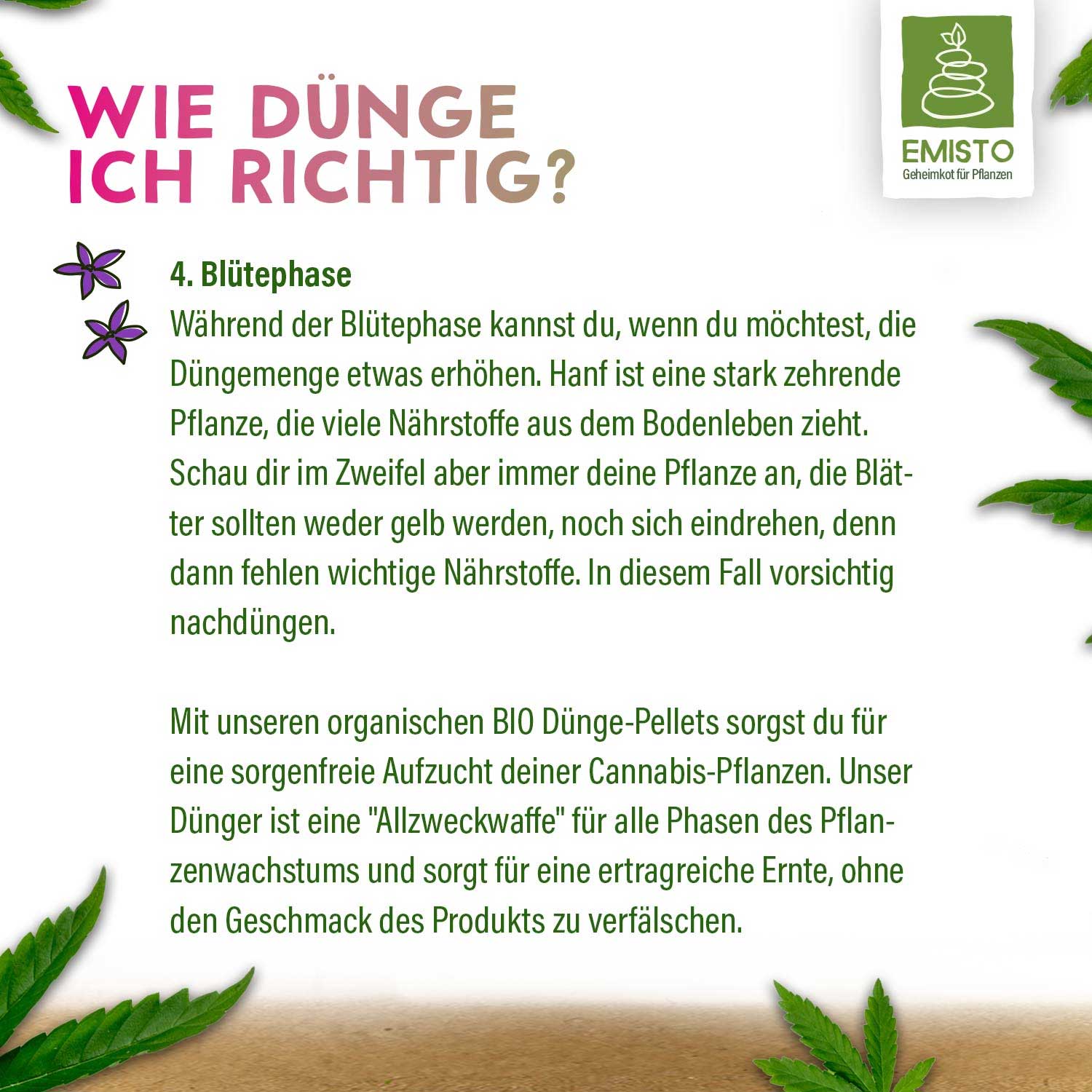Anleitung zur richtigen Düngung von Cannabispflanzen in der Blütephase mit organischen Bio Dünge-Pellets für optimalen Pflanzenwachstum.