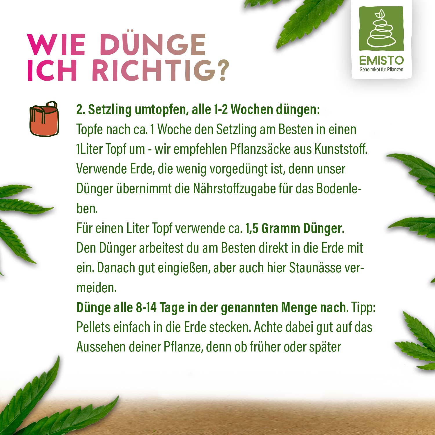 Anleitung zum richtigen Düngen von Pflanzen mit Text "Wie dünge ich richtig?" und Pflanzentopf-Symbol.