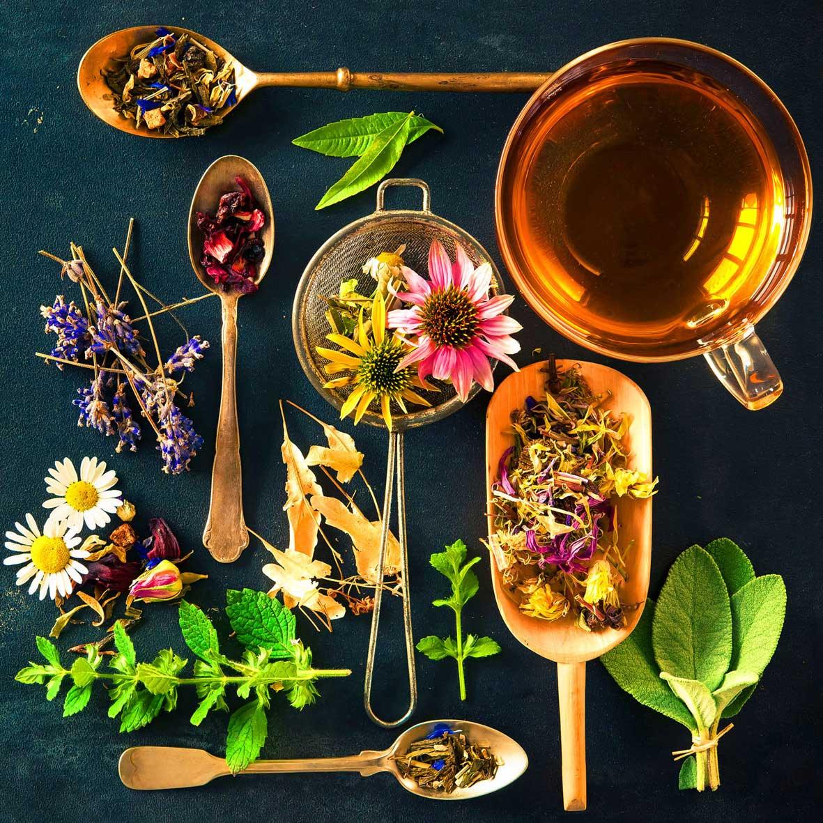 Tasse Kräutertee mit getrockneten Blüten, frischer Minze, Lavendel und Salbei.